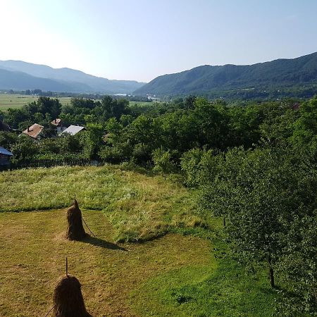 Pensiunea Adeluta Apartament Călimăneşti Екстериор снимка