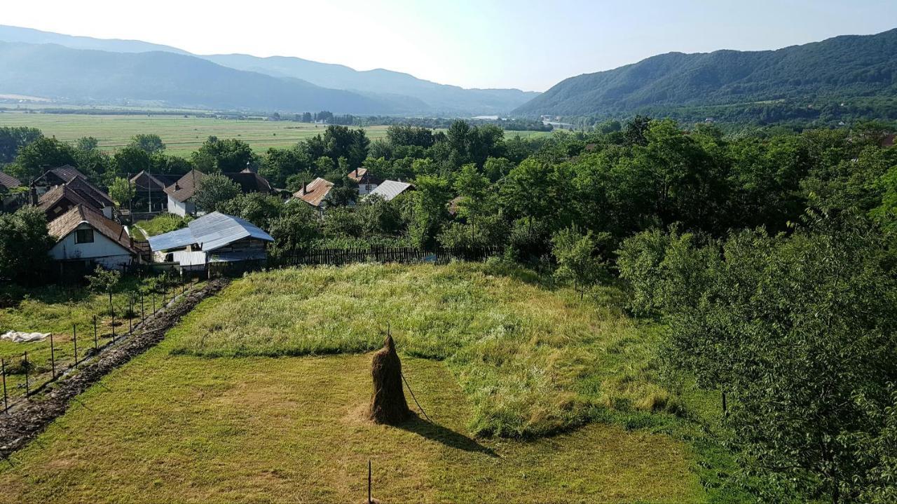 Pensiunea Adeluta Apartament Călimăneşti Екстериор снимка
